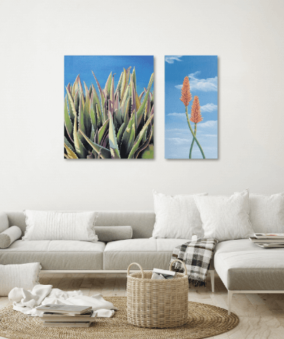 ALOE_BLOSSOMS