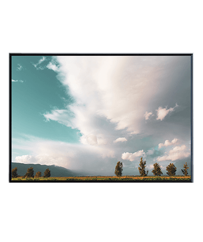 HULA VALLEY_01