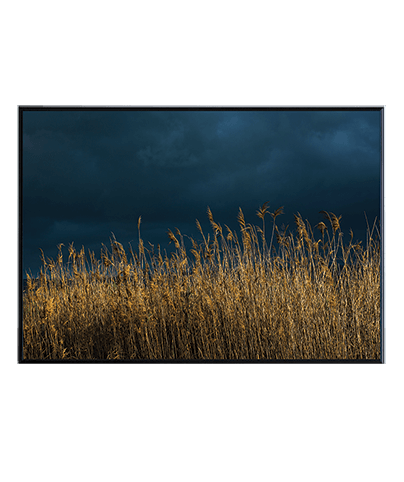 HULA VALLEY_02