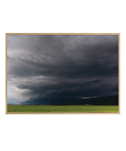 HULA VALLEY_03