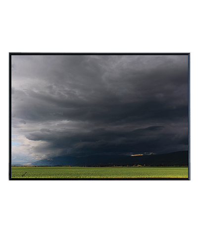 HULA VALLEY_03