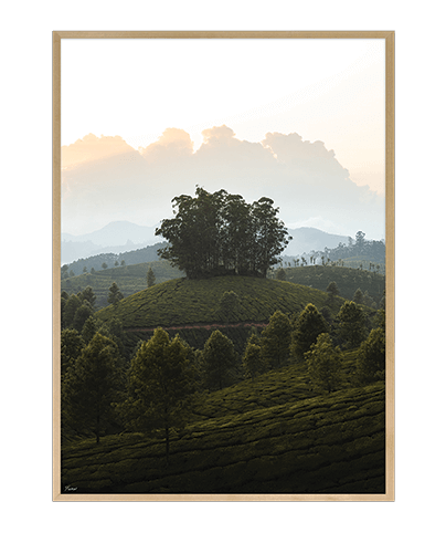 AROUND_33