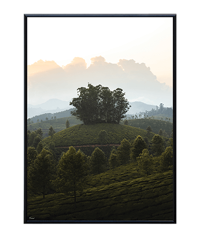 AROUND_33