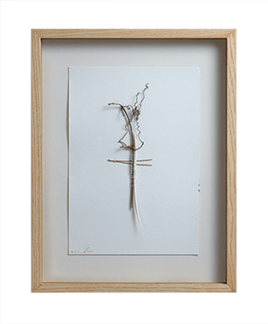 SPINE 01