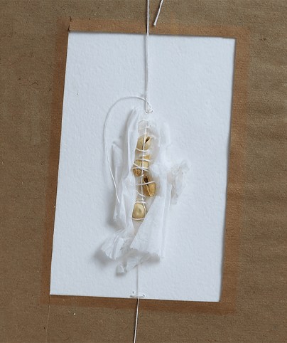 SPINE 05