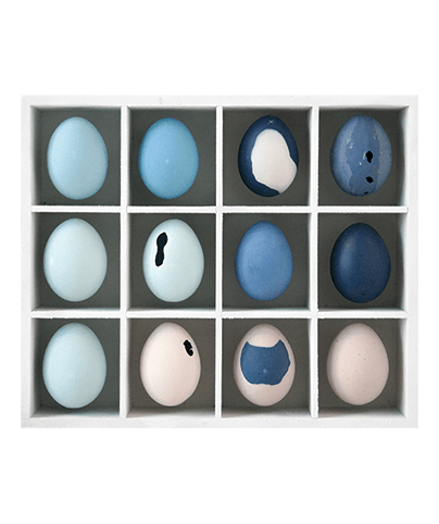 EGG TRAY 02