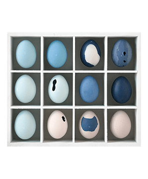 EGG TRAY 02