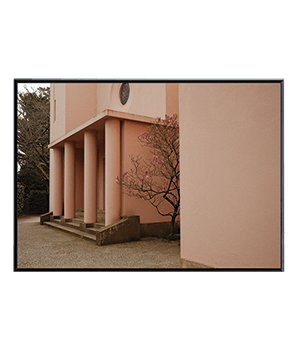 YARD_01