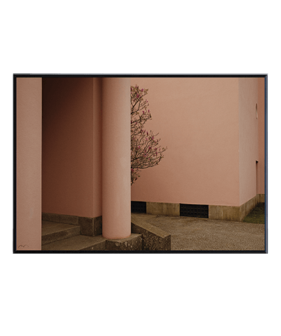 YARD_02