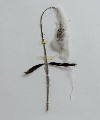 SPINE 10