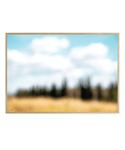 FADING_MEMORIES
