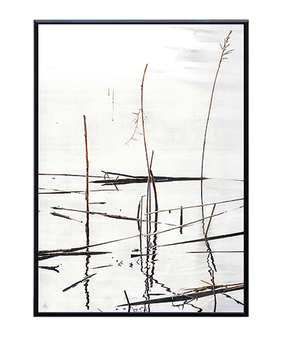 ZEN_17
