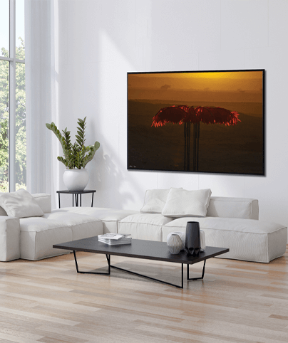 LANDSCAPE_36