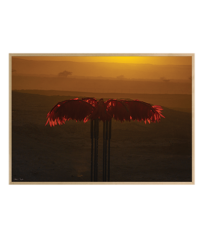 LANDSCAPE_36