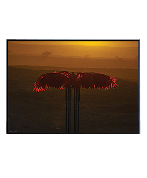 LANDSCAPE_36