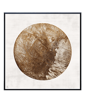 TERRA MOON