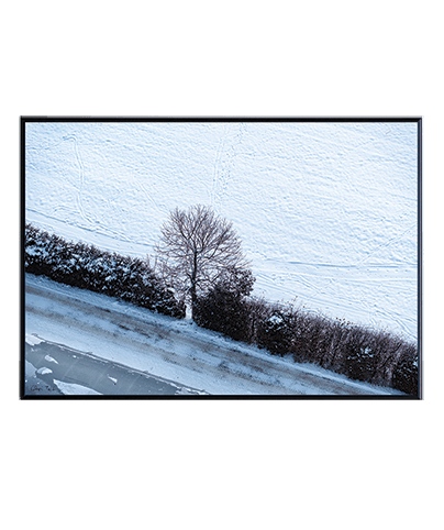 FROZEN_05