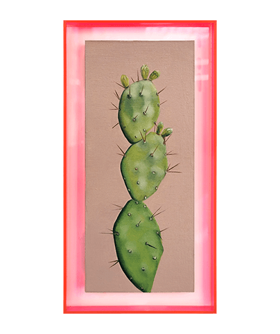 SUCCULENT 01