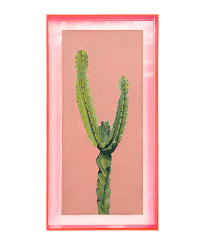 SUCCULENT 06