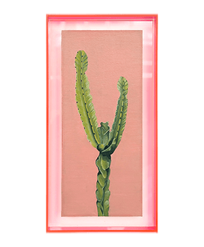 SUCCULENT 06