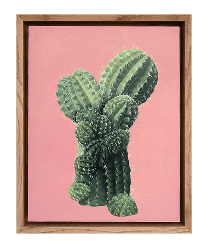 SUCCULENT 02
