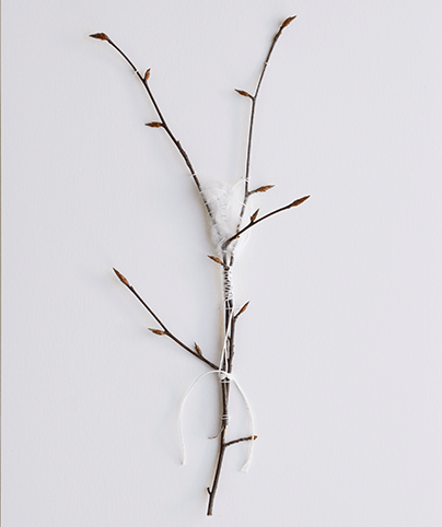 SPINE 27